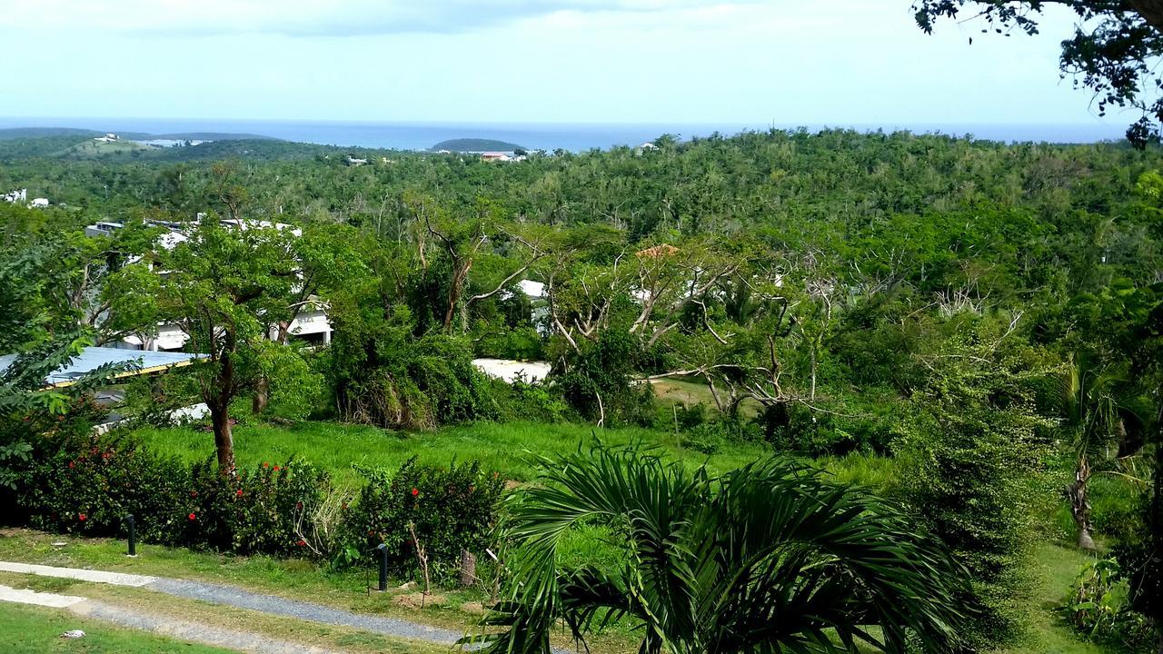 ホテル Hix Island House ビエケス エクステリア 写真